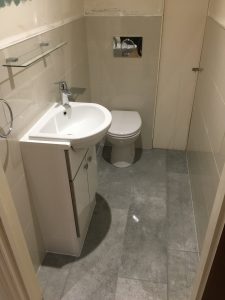 Cloak room vanity basin and back to wall pan